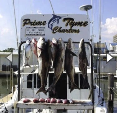 Prime Tyme Charters Recent Catch